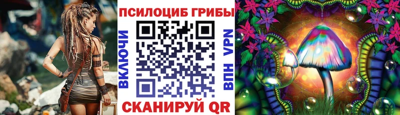 shop формула  Тюмень  Псилоцибиновые грибы прущие грибы 